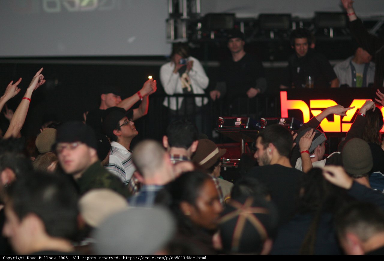 Urban Crowd at Concert