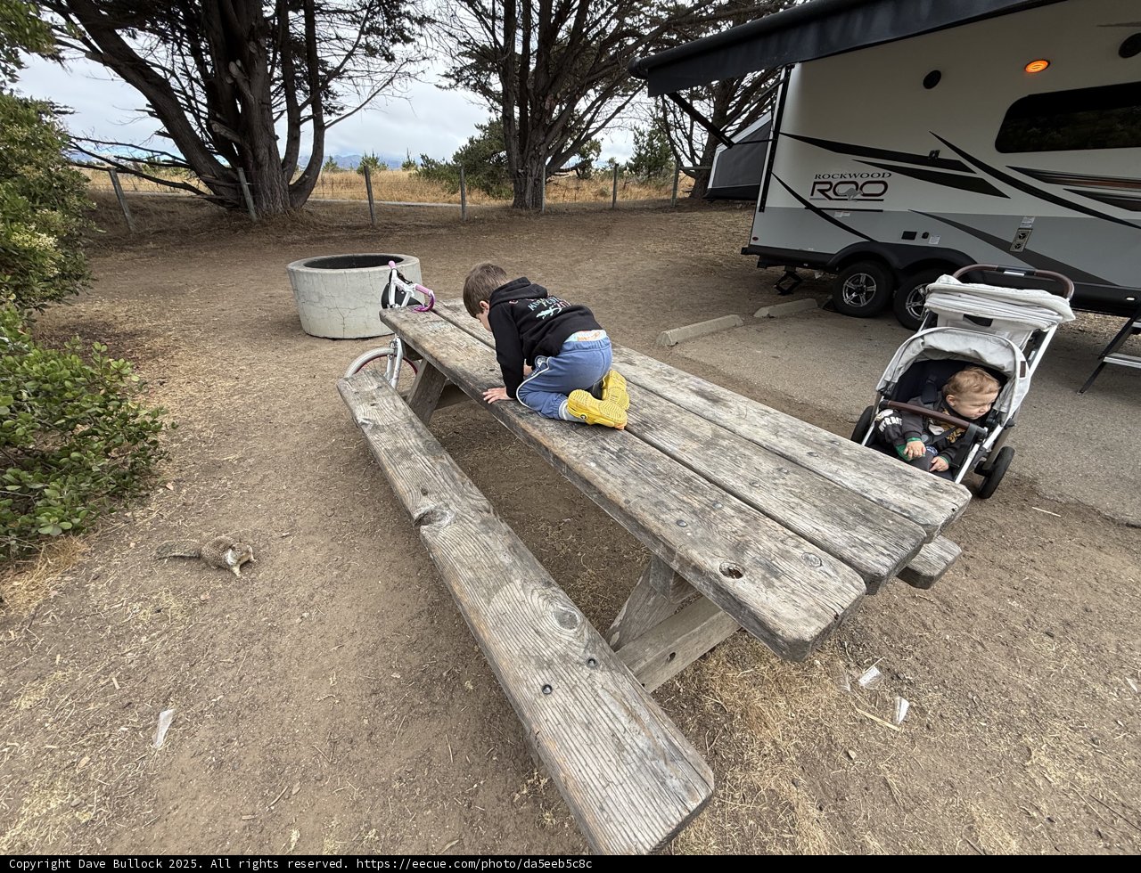 **Curious Explorations in Cambria**