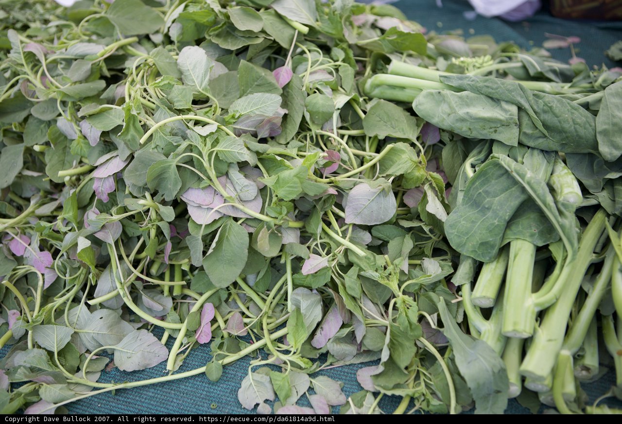 Greens Galore