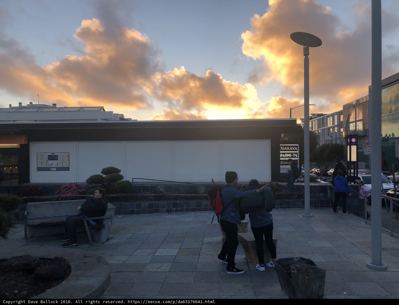 Gathering at Sunset
