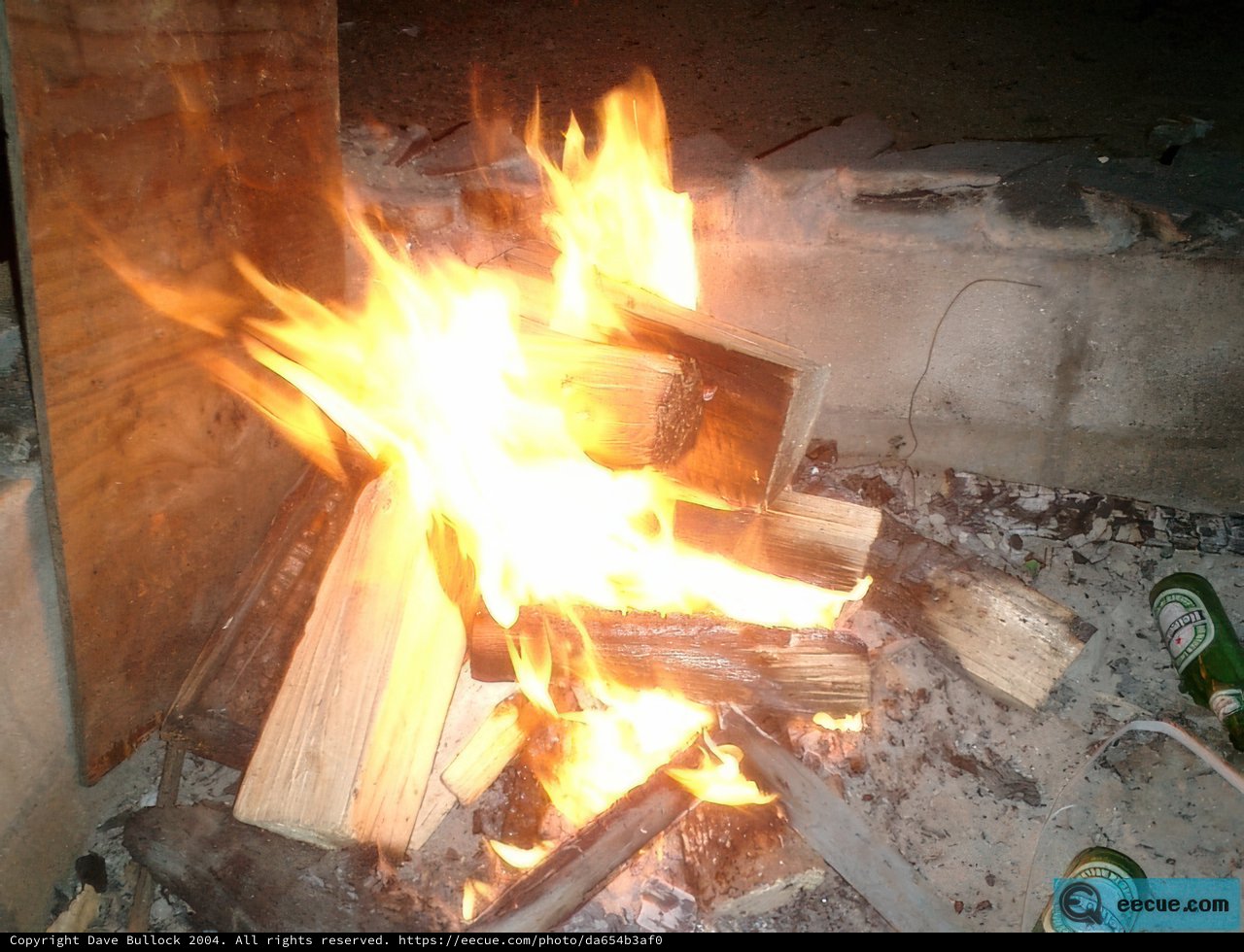 Flame in the Wood Pile