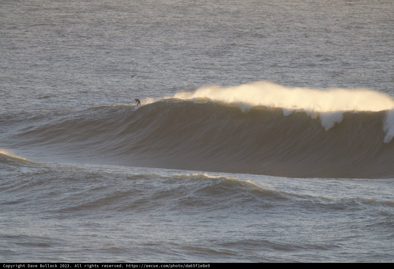 Conquering the Mavericks: A Surfing Adventure