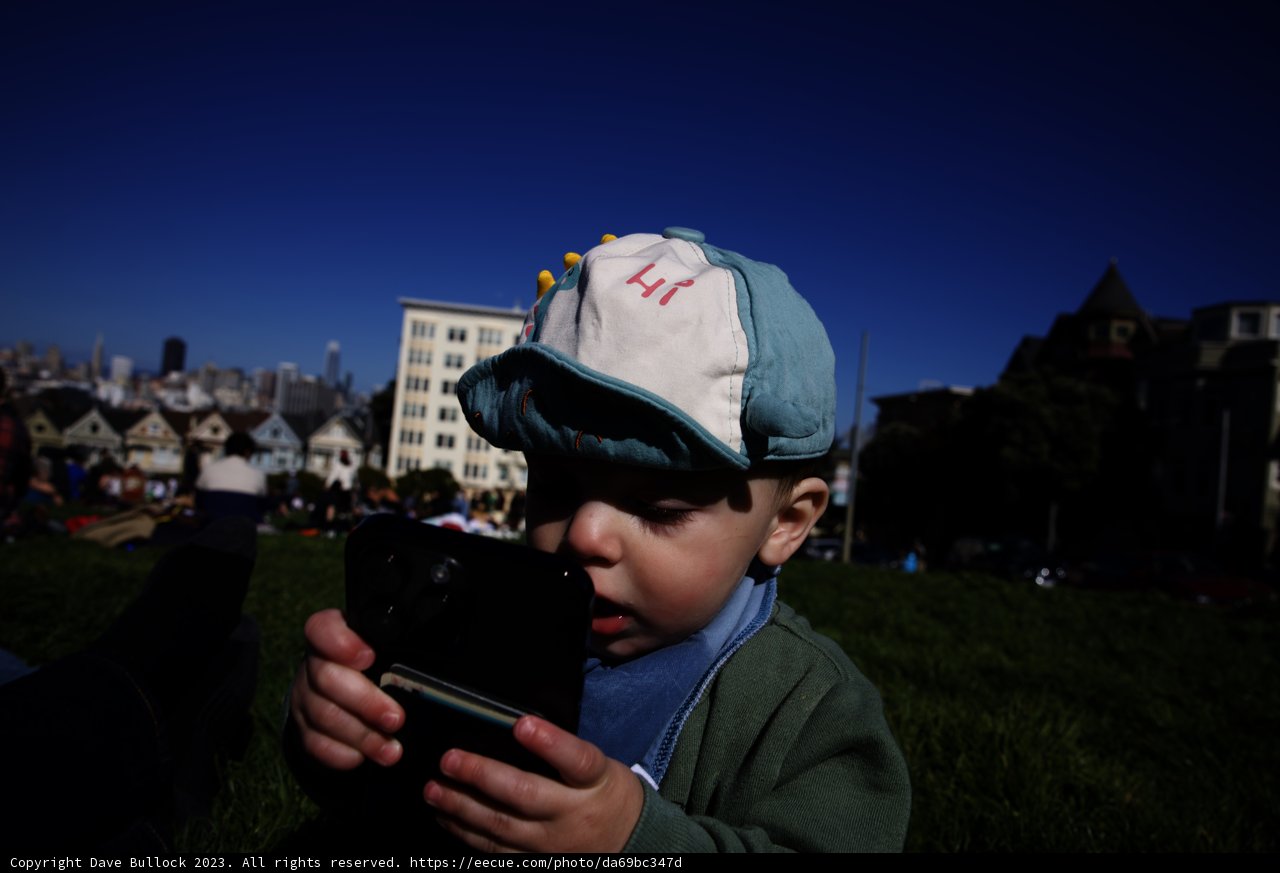 Sunny Day in Alamo Square