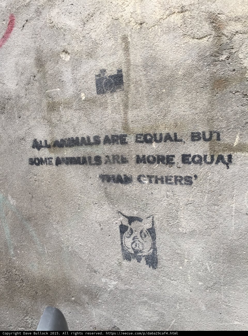 Animal Farm Quote Graffiti