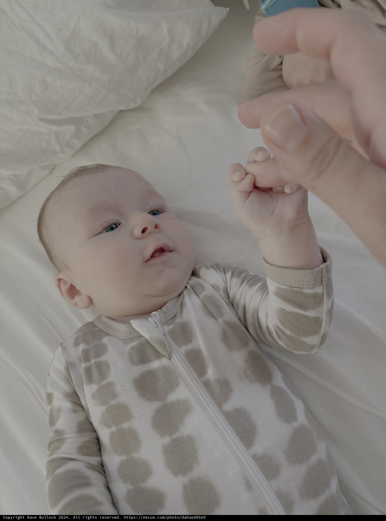 Newborn Baby Reaching Hand Up on Bed