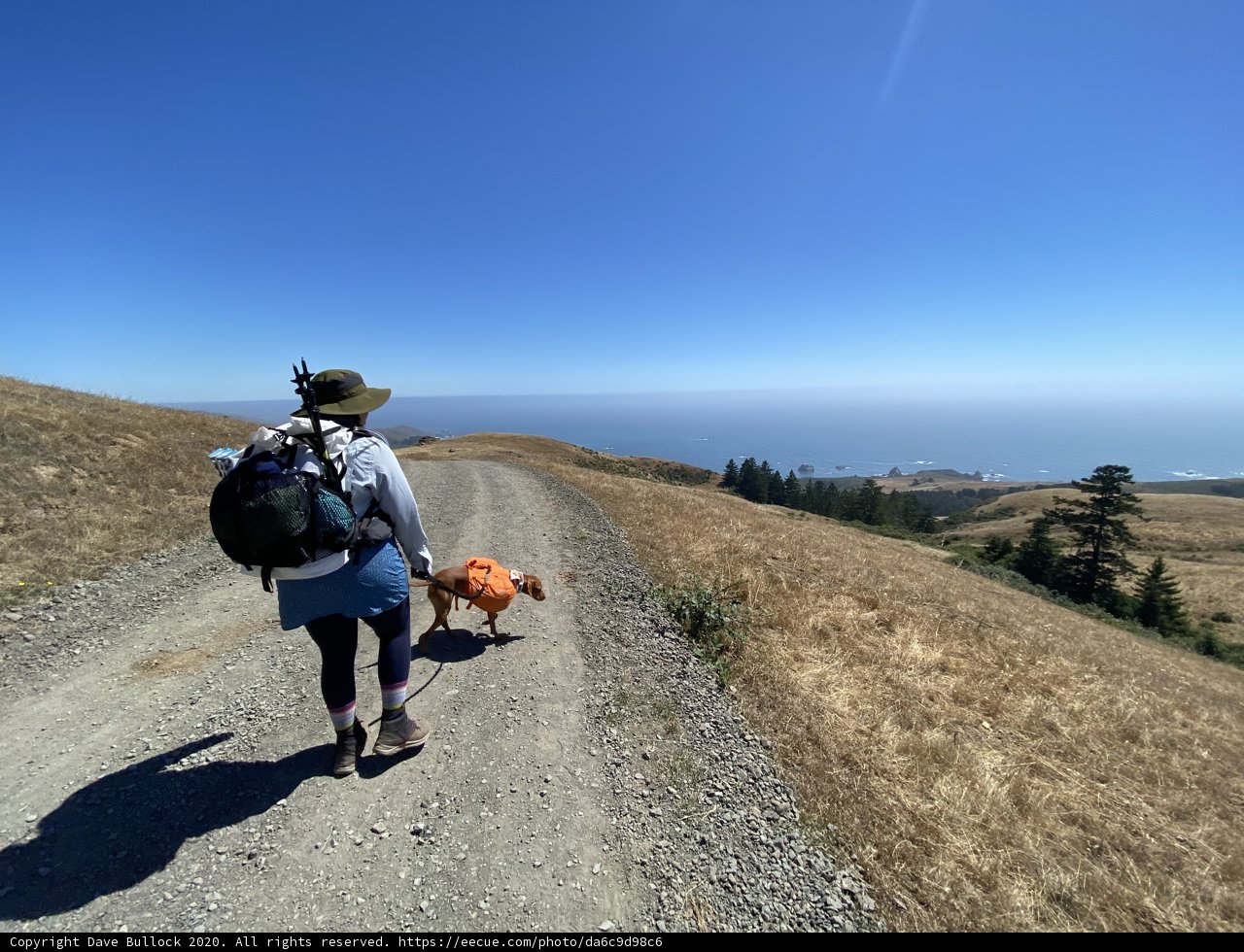 Woman and Dog Trekking Through Californian Hills
