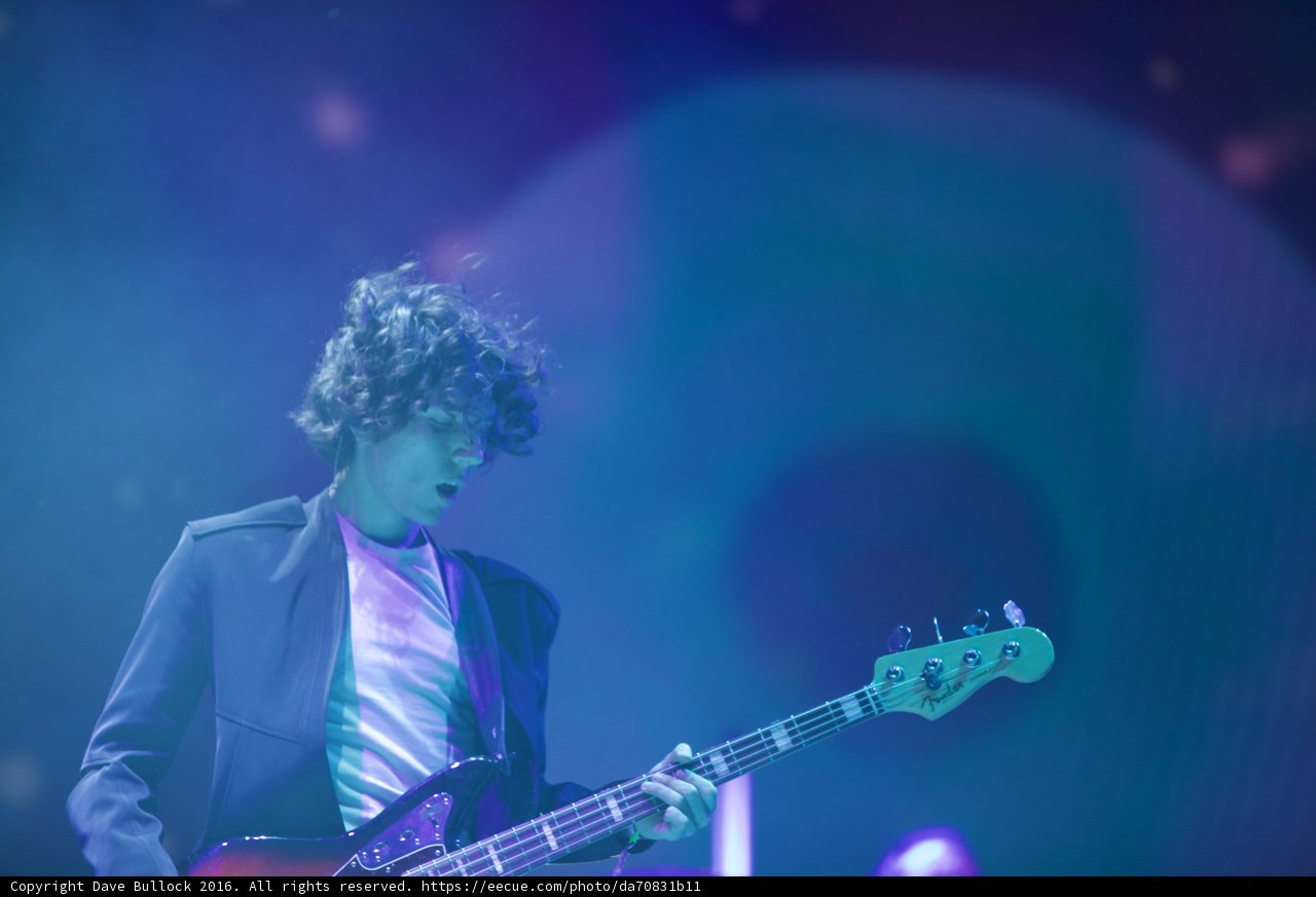 Bassist Grooves to the Crowd