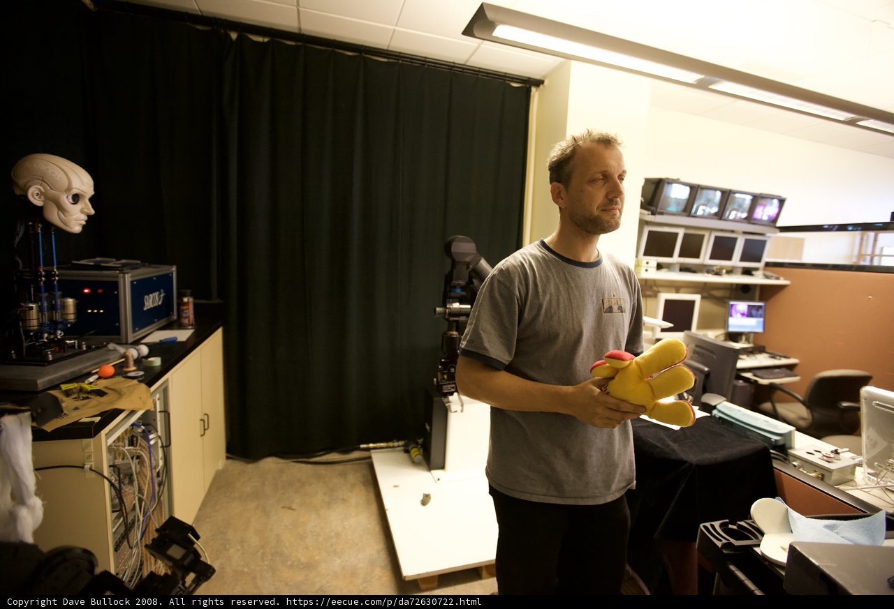 Man and His Yellow Companion