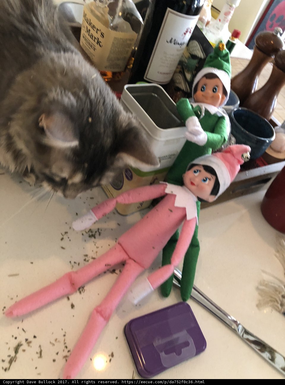 Christmas Cheer with Furry Friends