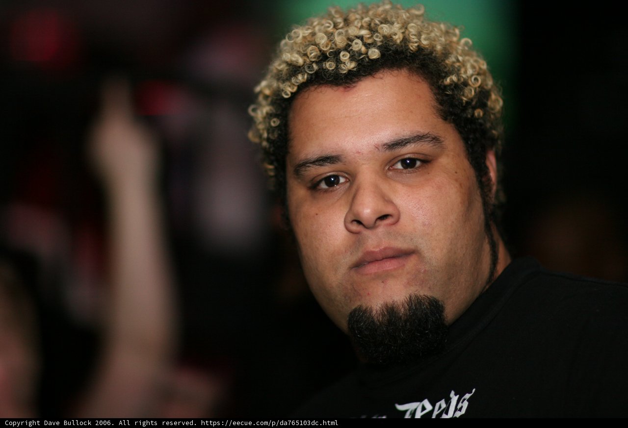 Blonde Bearded Portrait