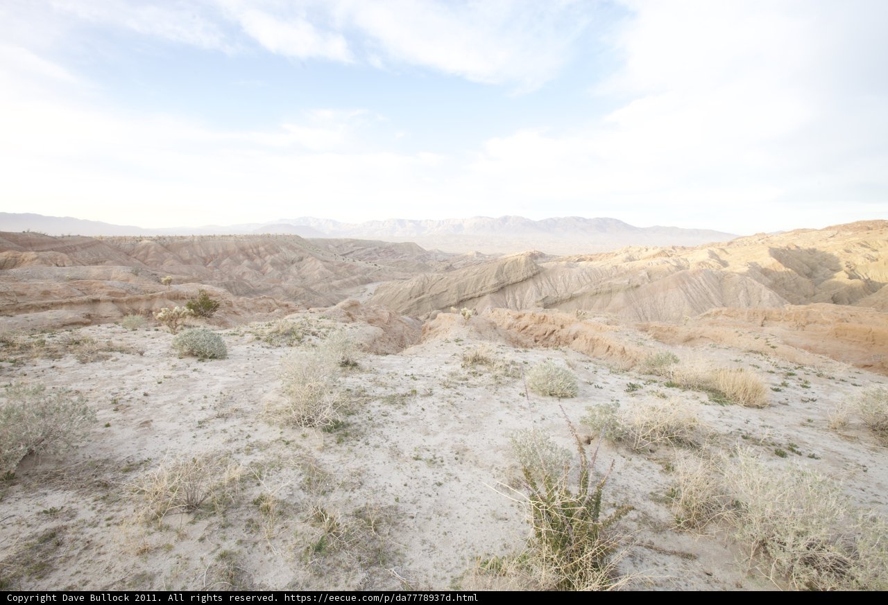 Desert Vista