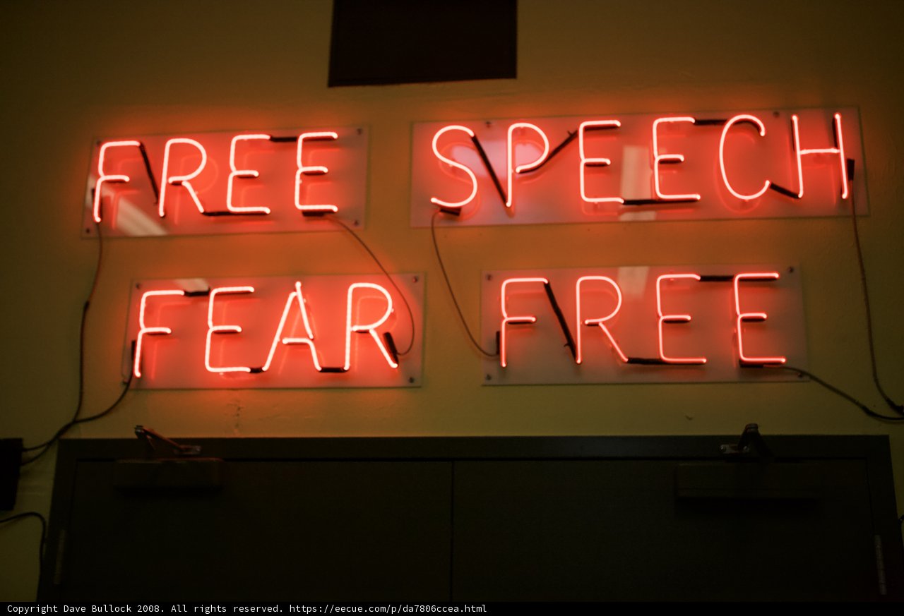 Free Speech Fear Free Neon Sign