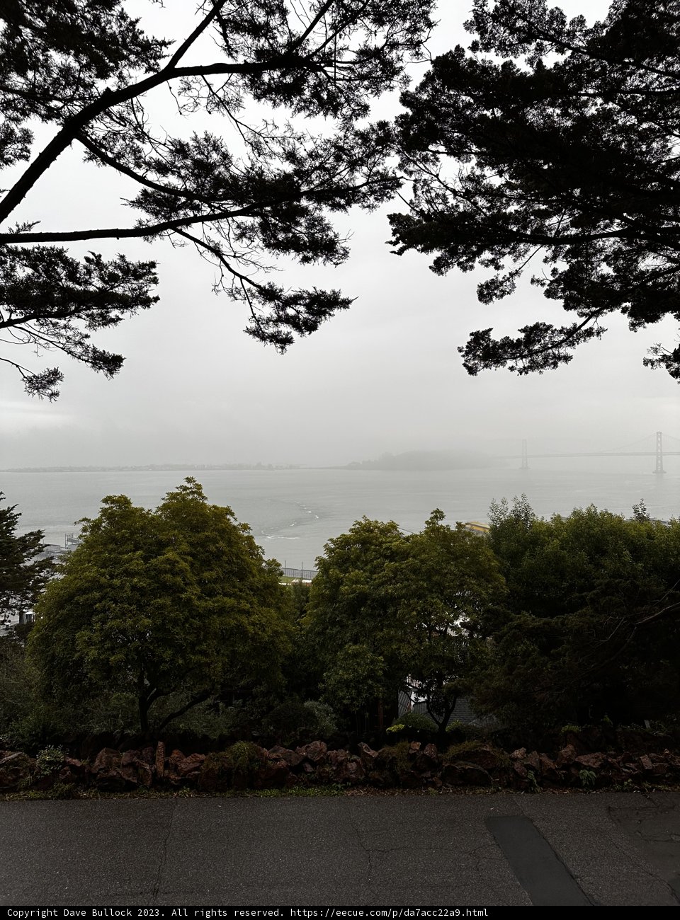 Serene Bay View from Coit Tower Park Bench
