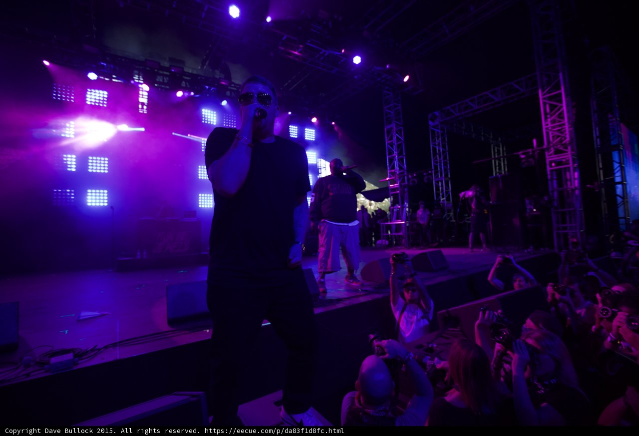 Run The Jewels Purple Duo