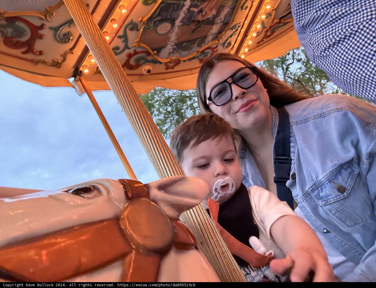 Whimsical Carousel Moments