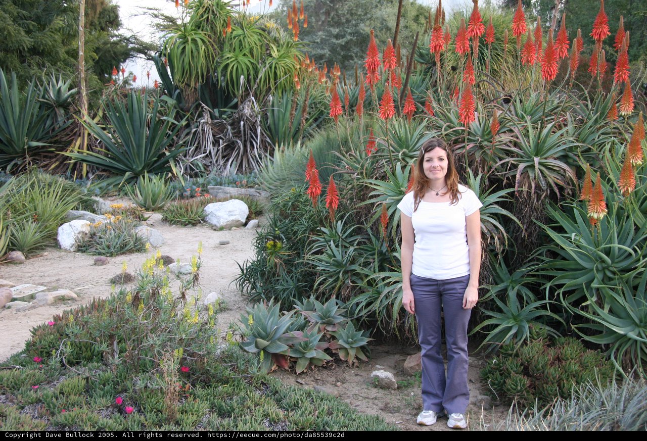 Woman Posing Among Blooming Aloe Plants in Desert Garden
