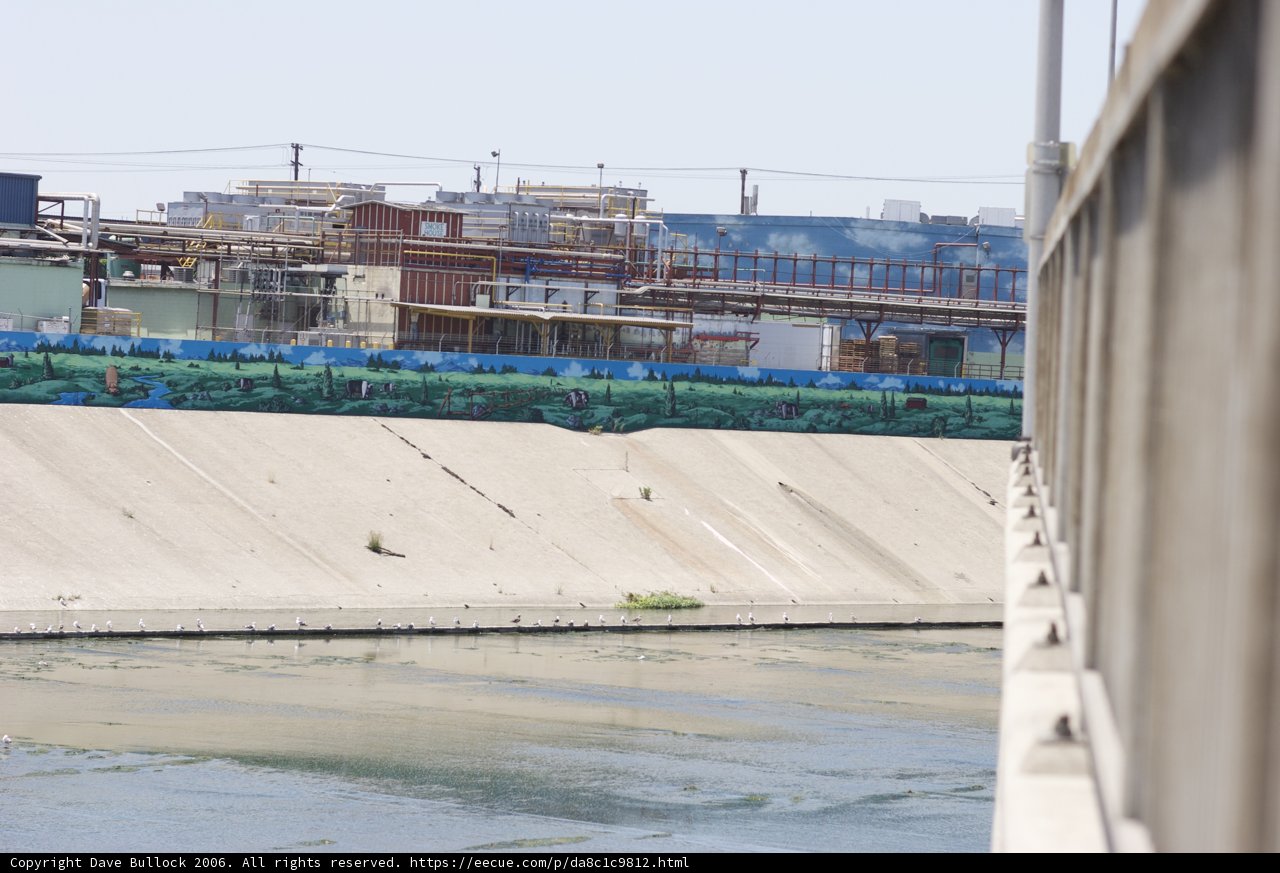 Skateboarding on the River