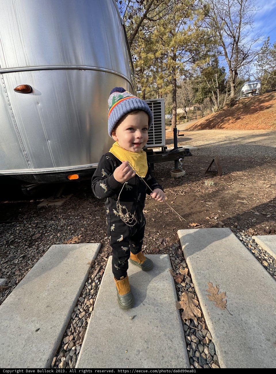 The Young Adventurer