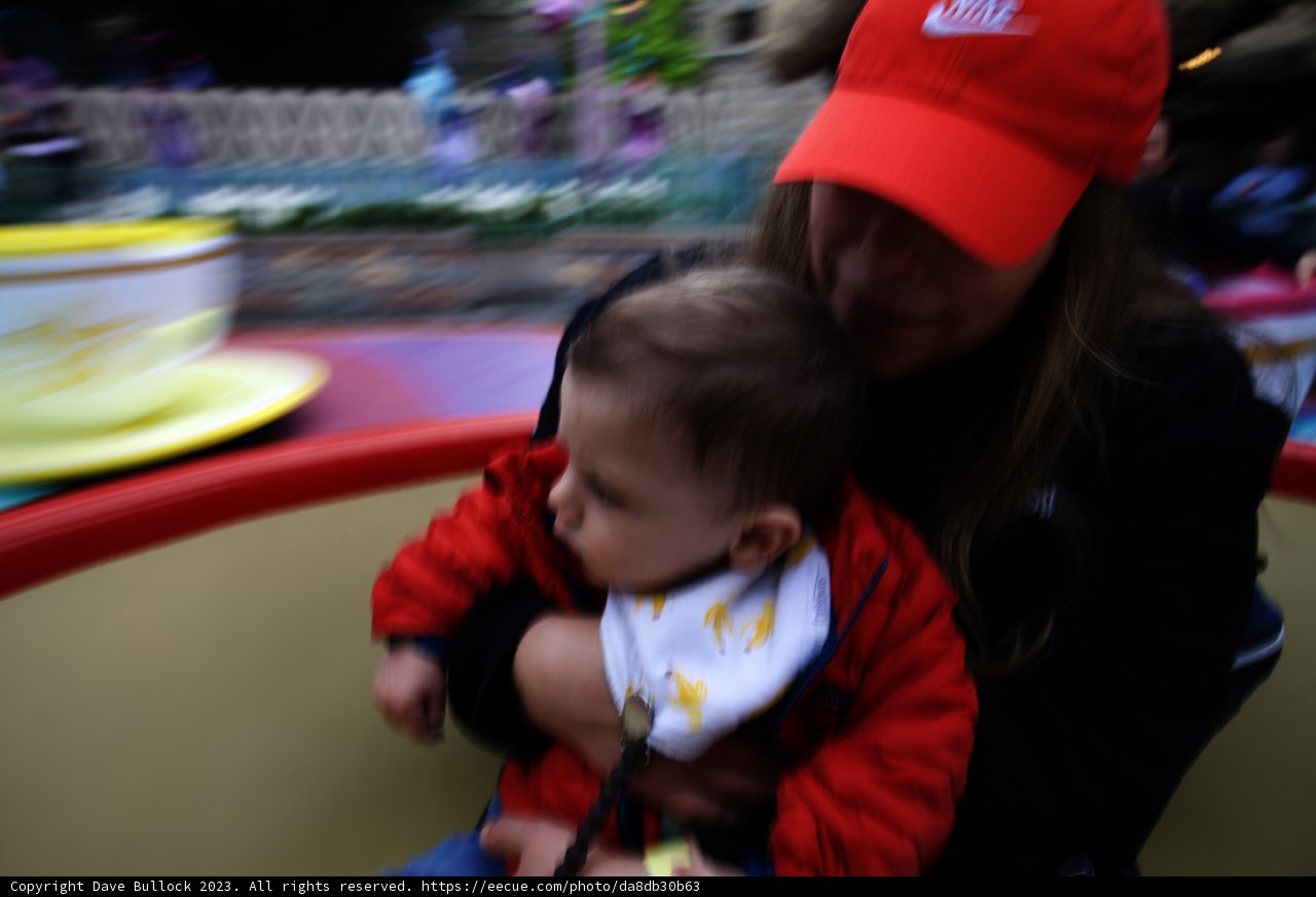Magical Moments at Disneyland