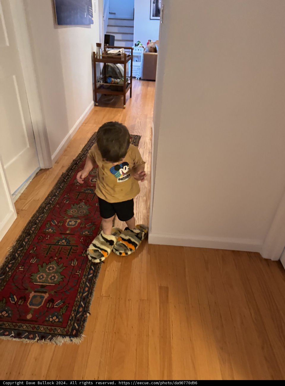 Little Explorer