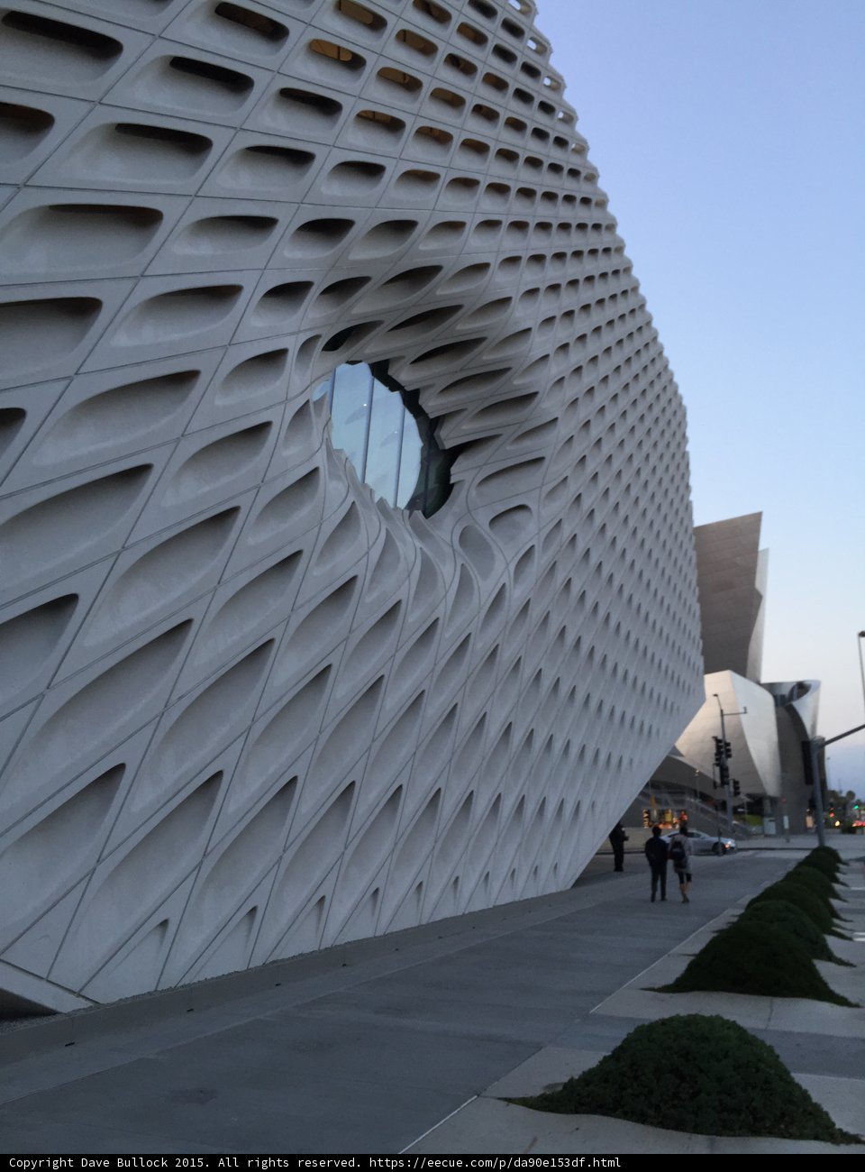 The Broad Corner View