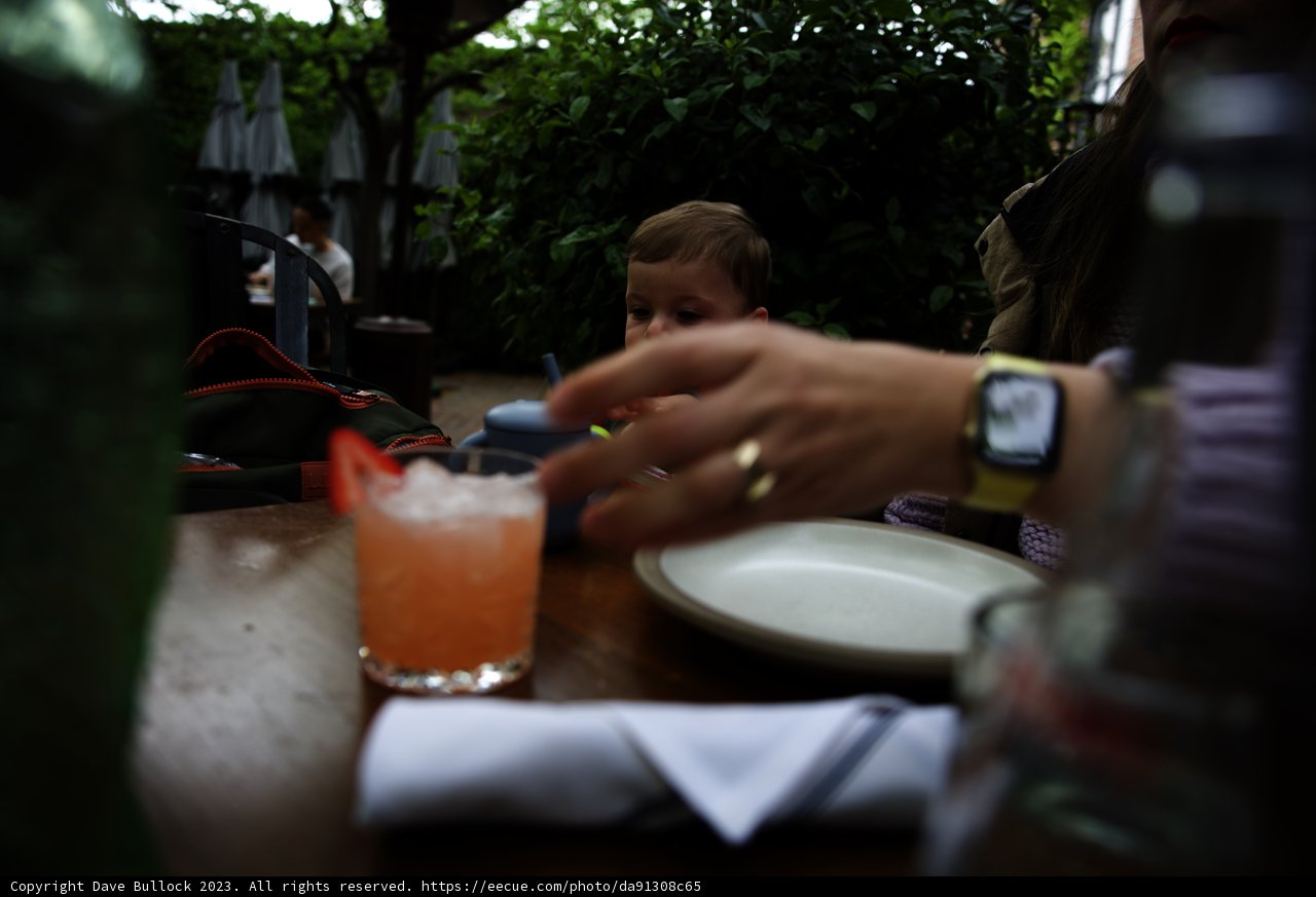 Baby's First Restaurant Adventure