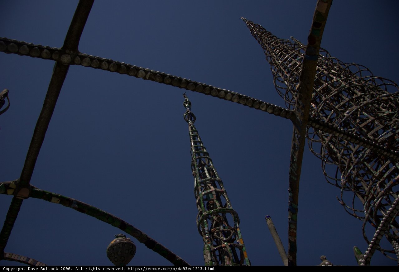 Towering Fun at the Amusement Park