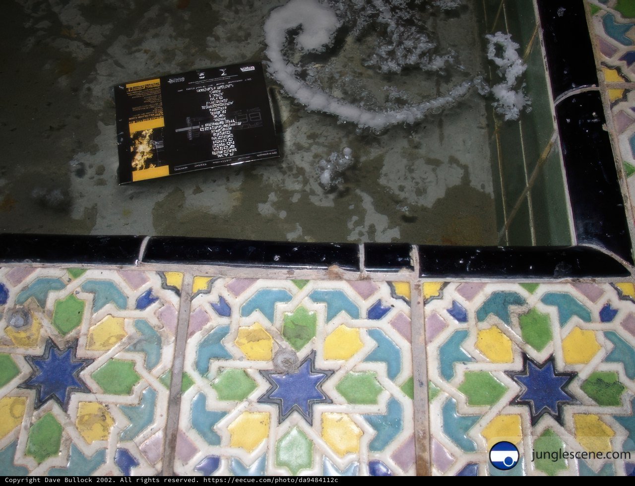 Winter Readings on Tiled Floors