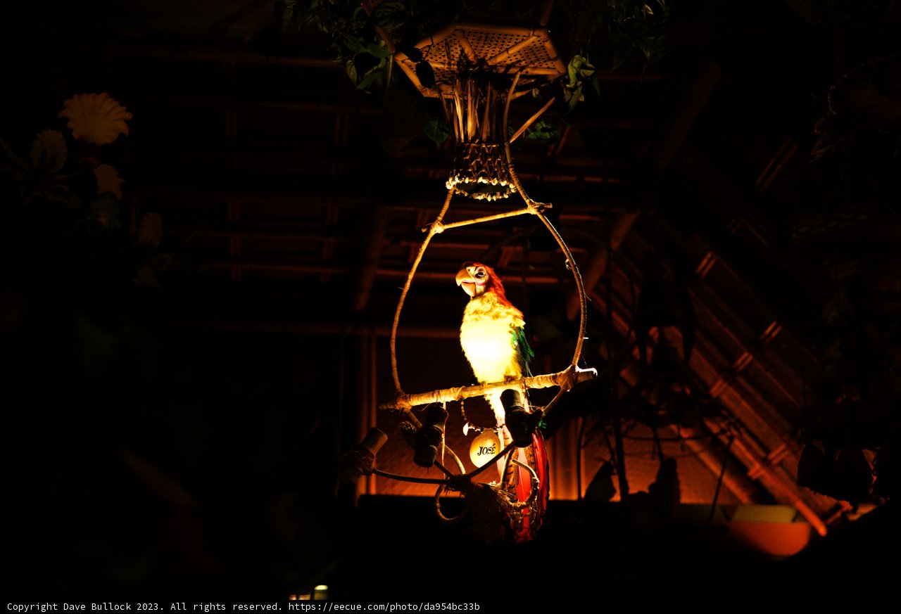 The Whimsical Parrot Chandelier