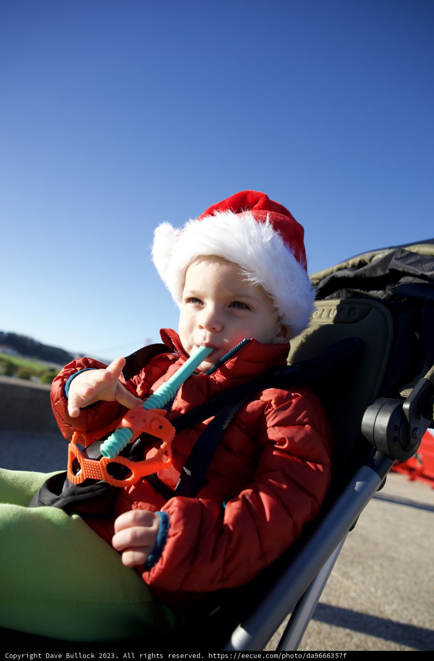 Santa's Littlest Helper: A Bay Area Christmas