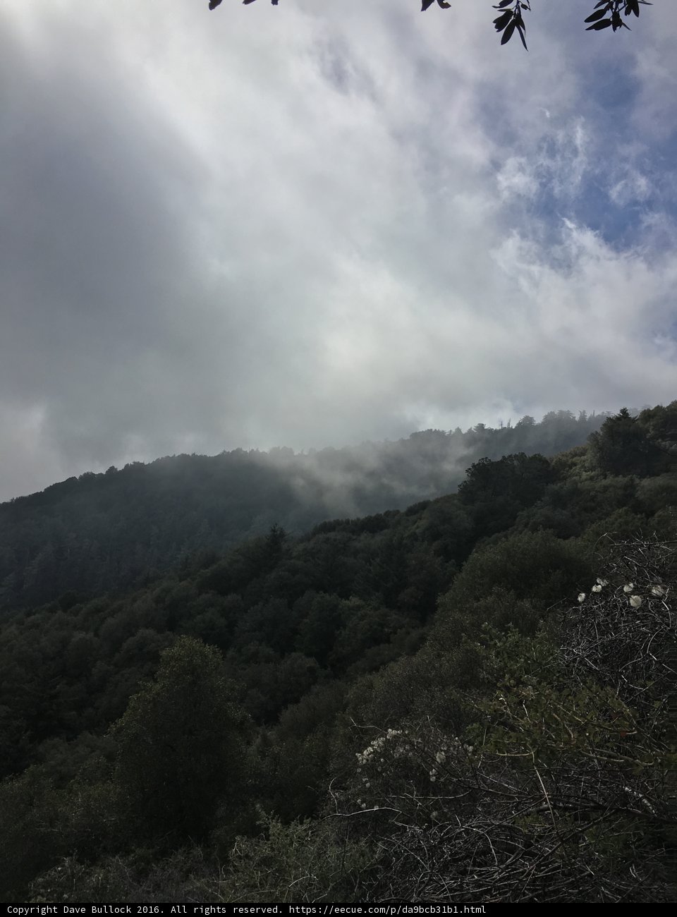 Majestic View from Hilltop