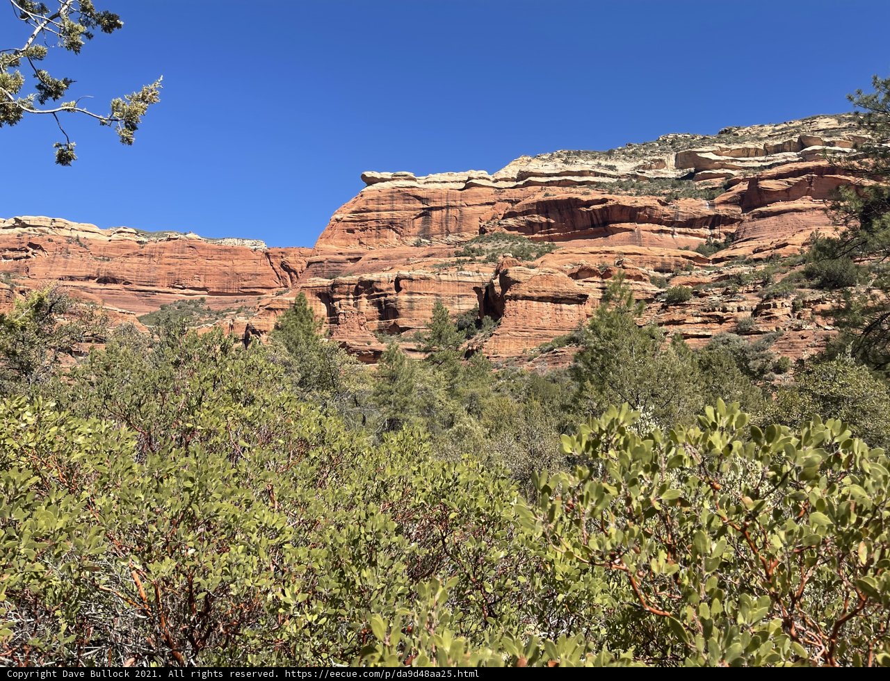Red Rocks Against the Blue Skies of Coconino