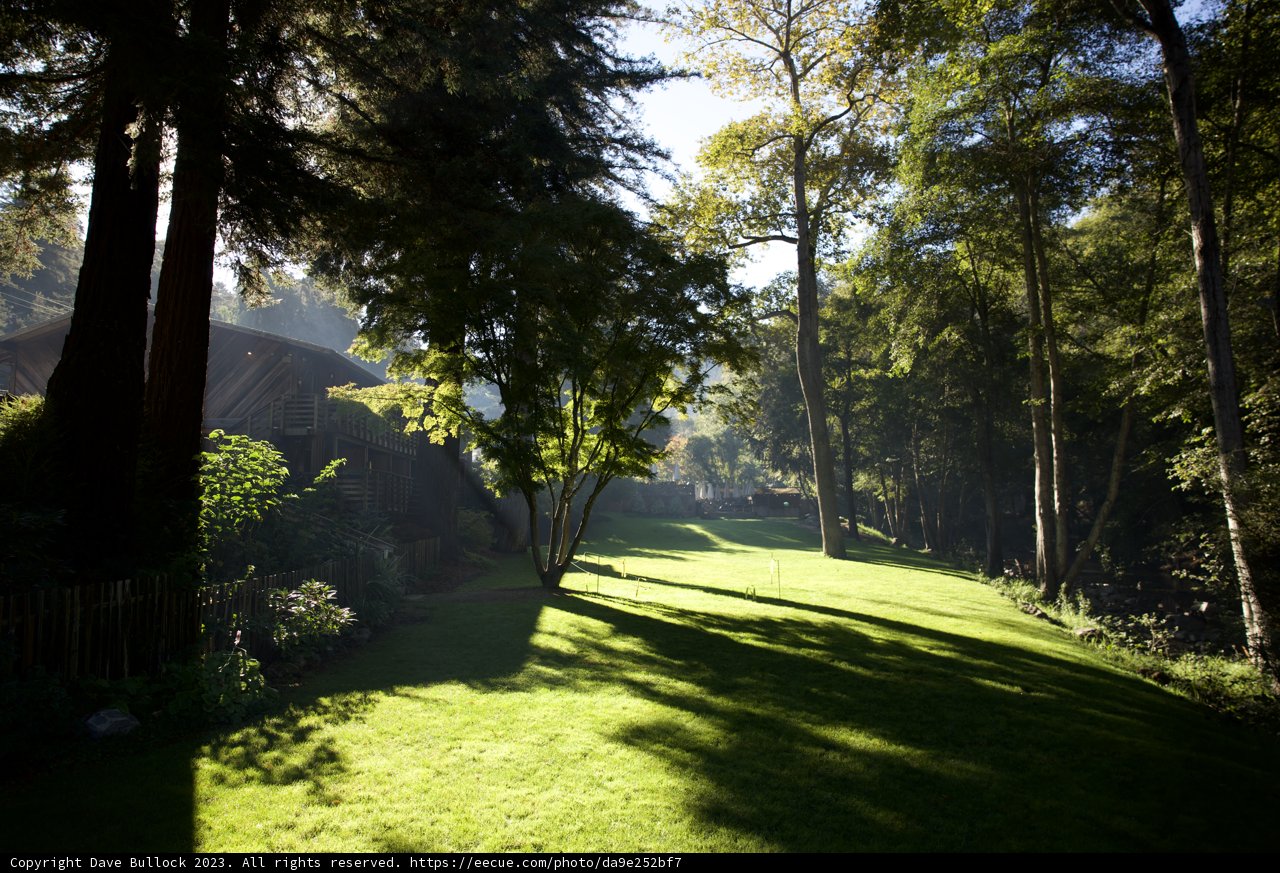 Morning Serenity at Big Sur