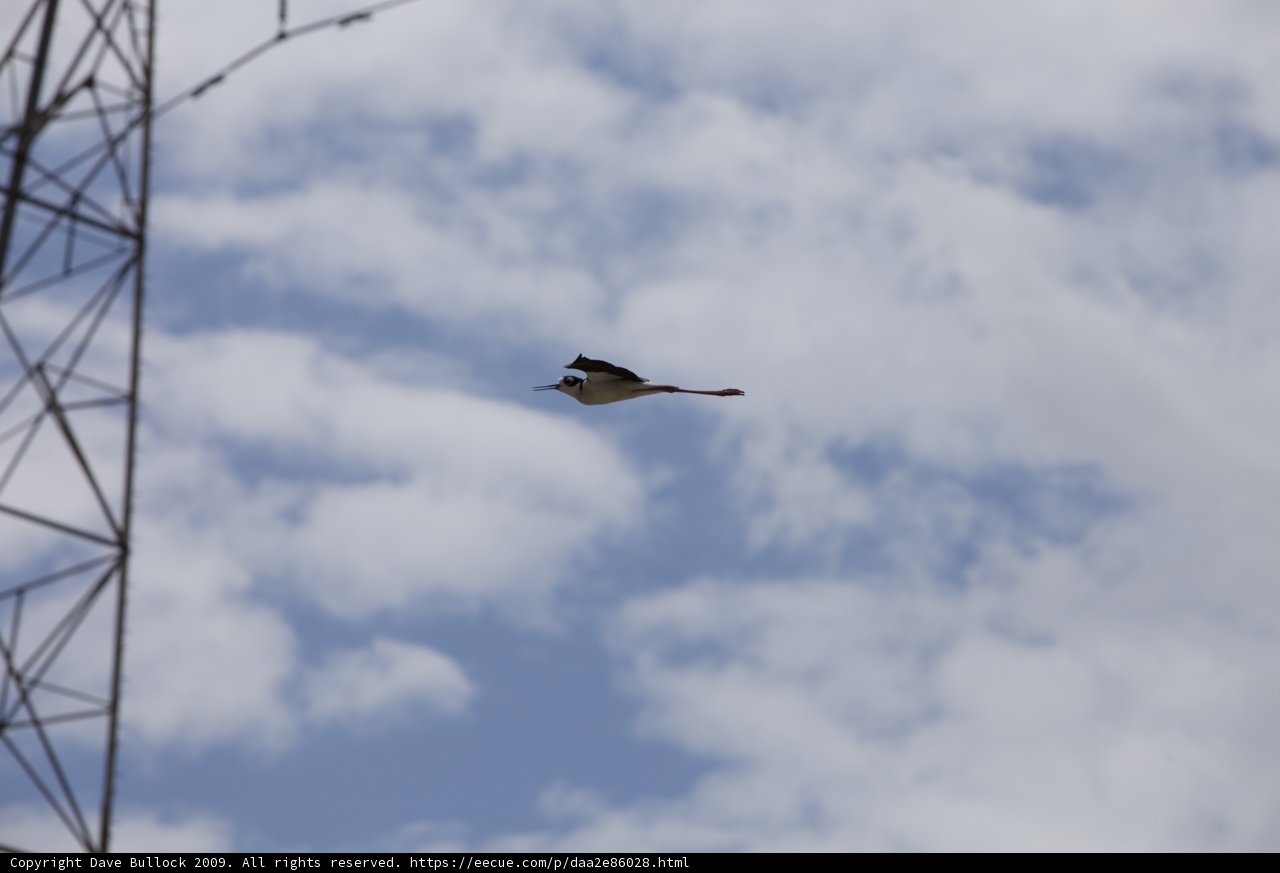 Flight Along Power Lines