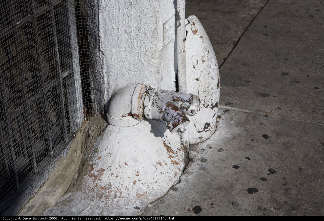 Frosty Hydrant