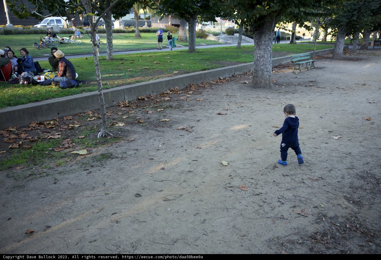 A Stroll Through the Park