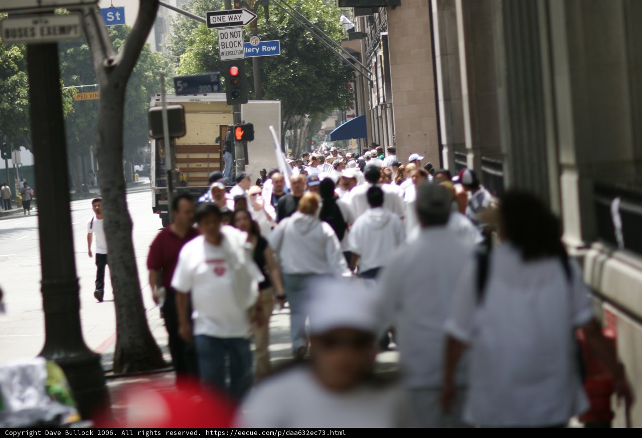 Urban Crowd in Motion
