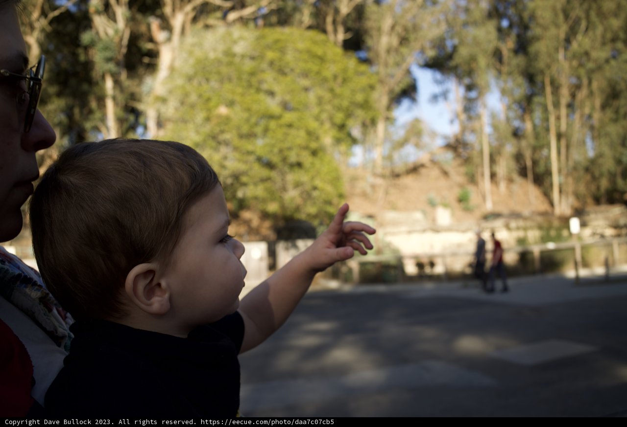 An Enchanted Moment at SF Zoo, 2023