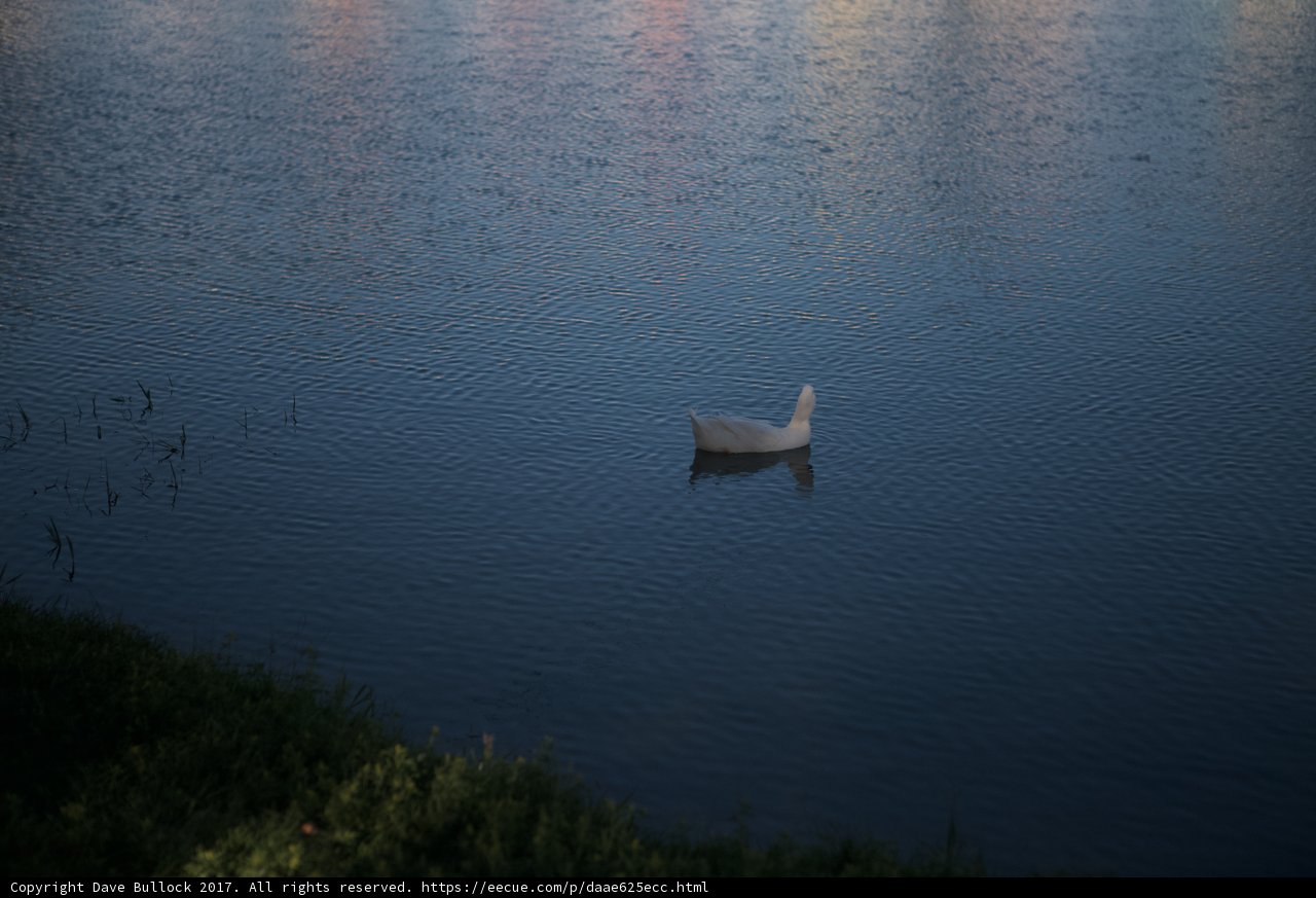 Serenity in the Dusk
