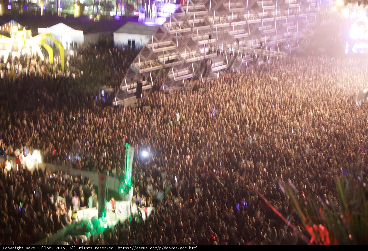 Jamming in the Crowd at Coachella
