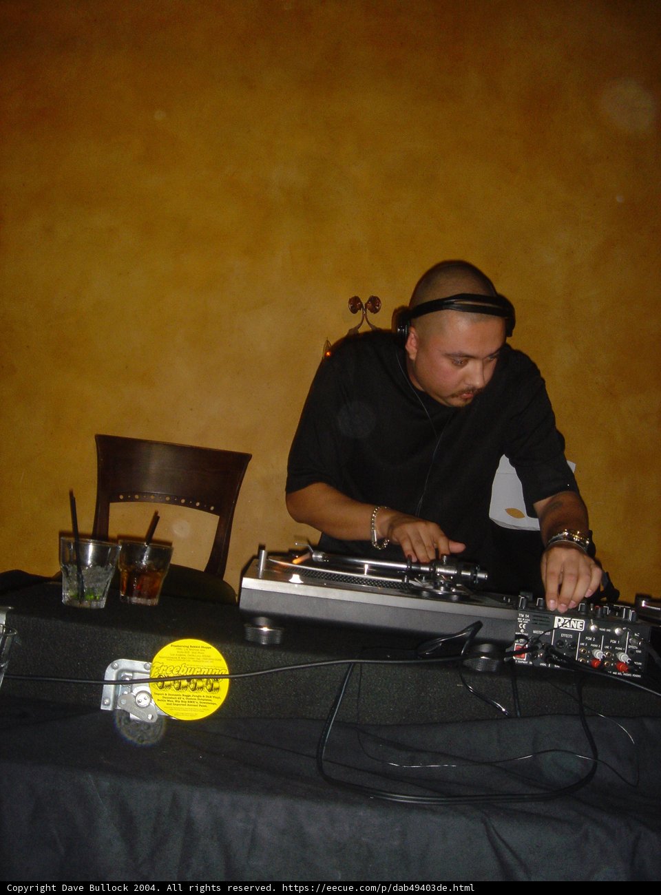 DJ Grooves at the Party