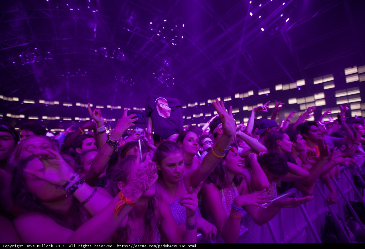 Purple Haze