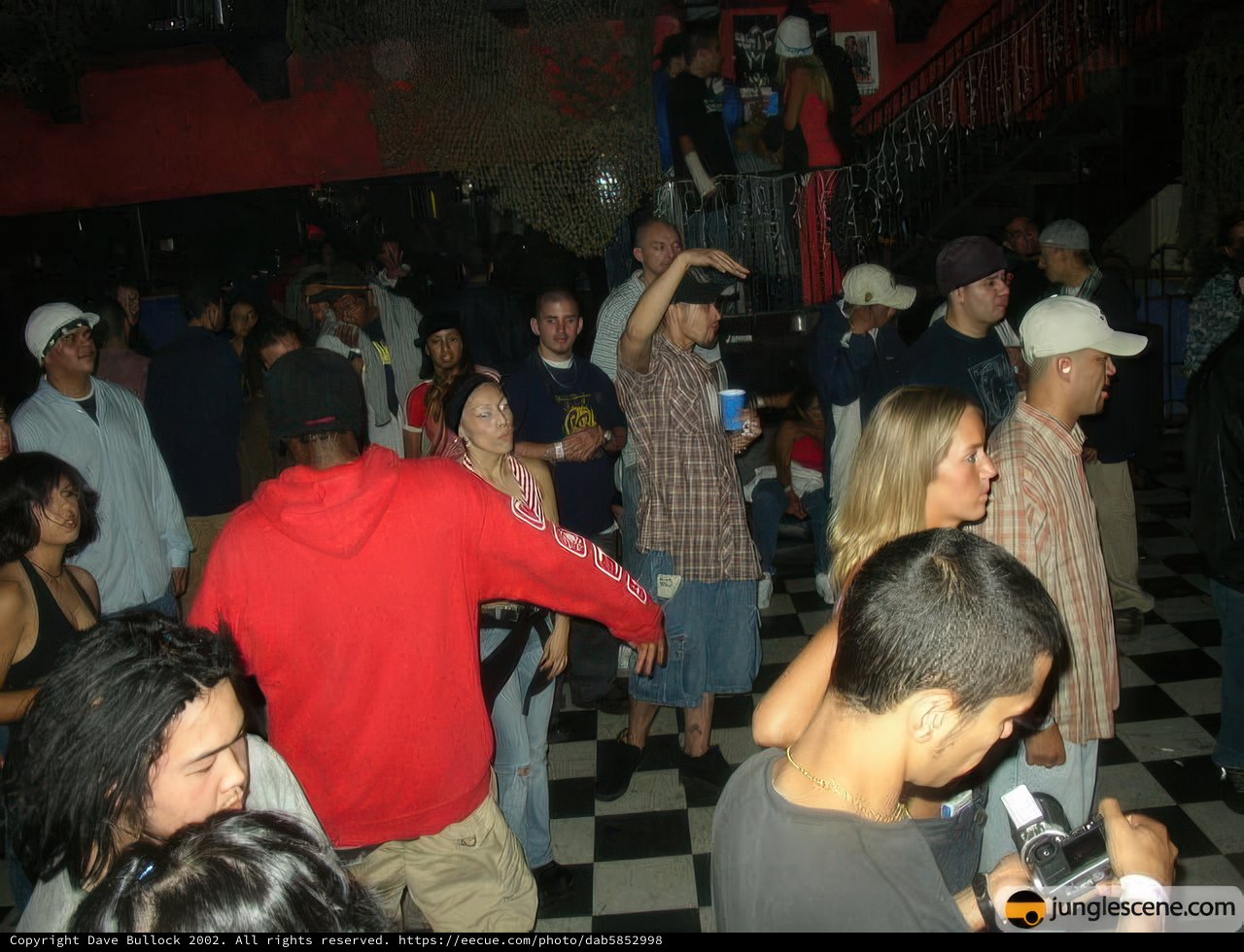 The Life of the Party