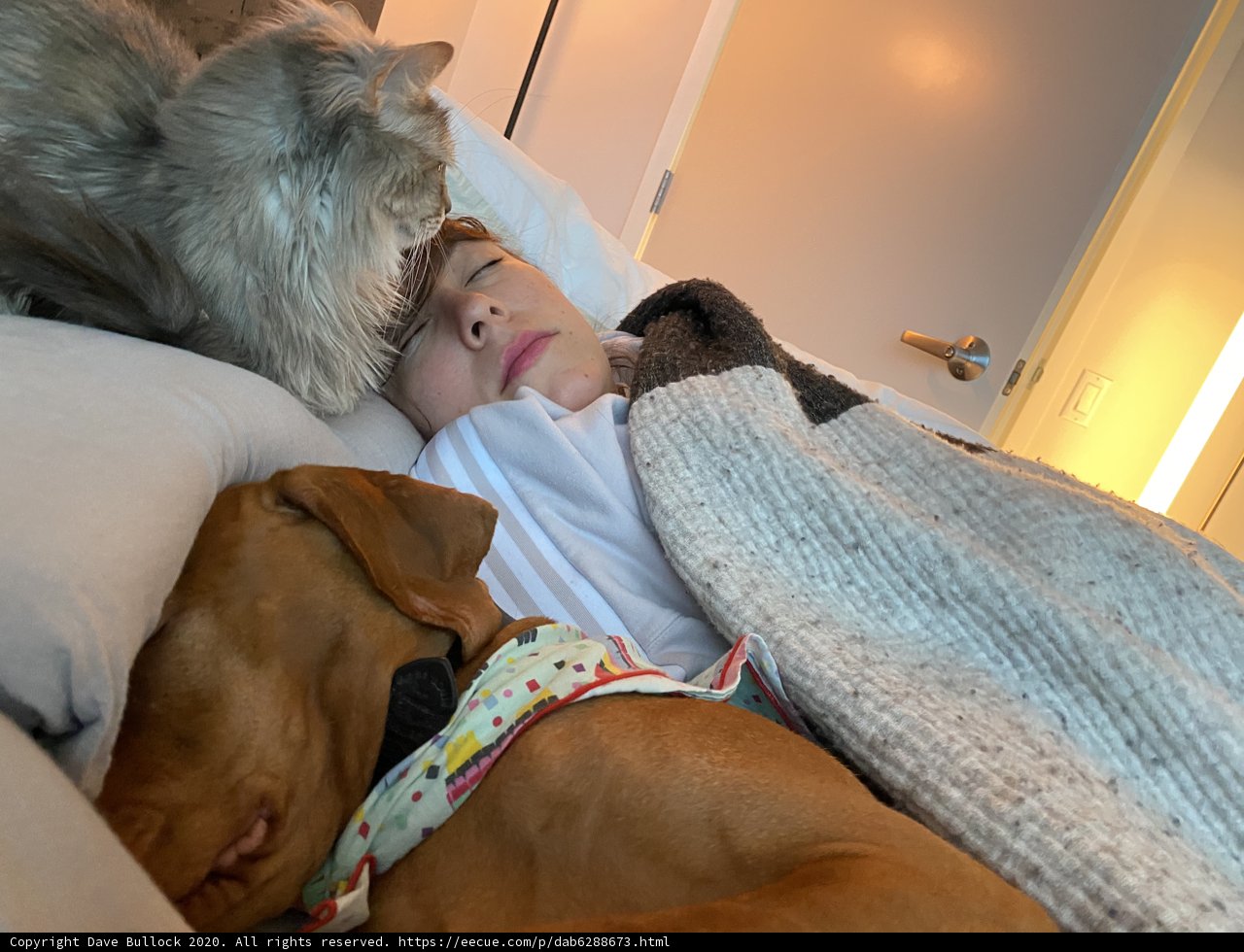 Cozy Company