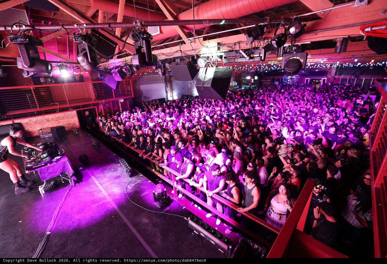 Massive Crowd Pulsates Under Purple Lights at Wobbleland