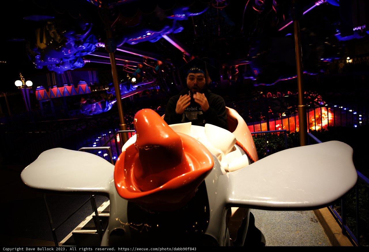 Quacky Adventures at Disneyland