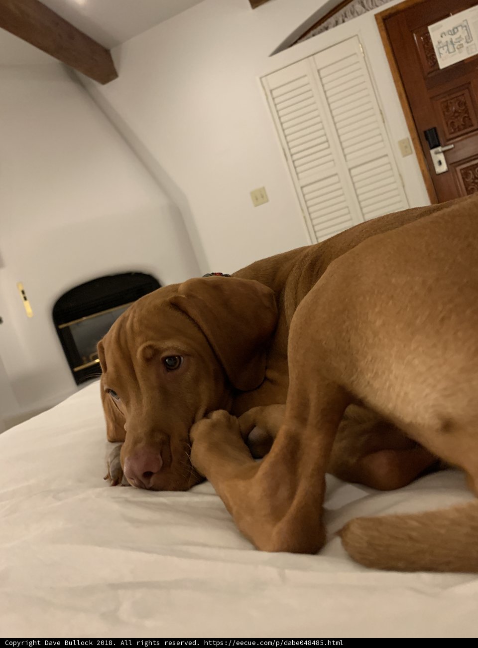 Lazy Days with My Best Friend