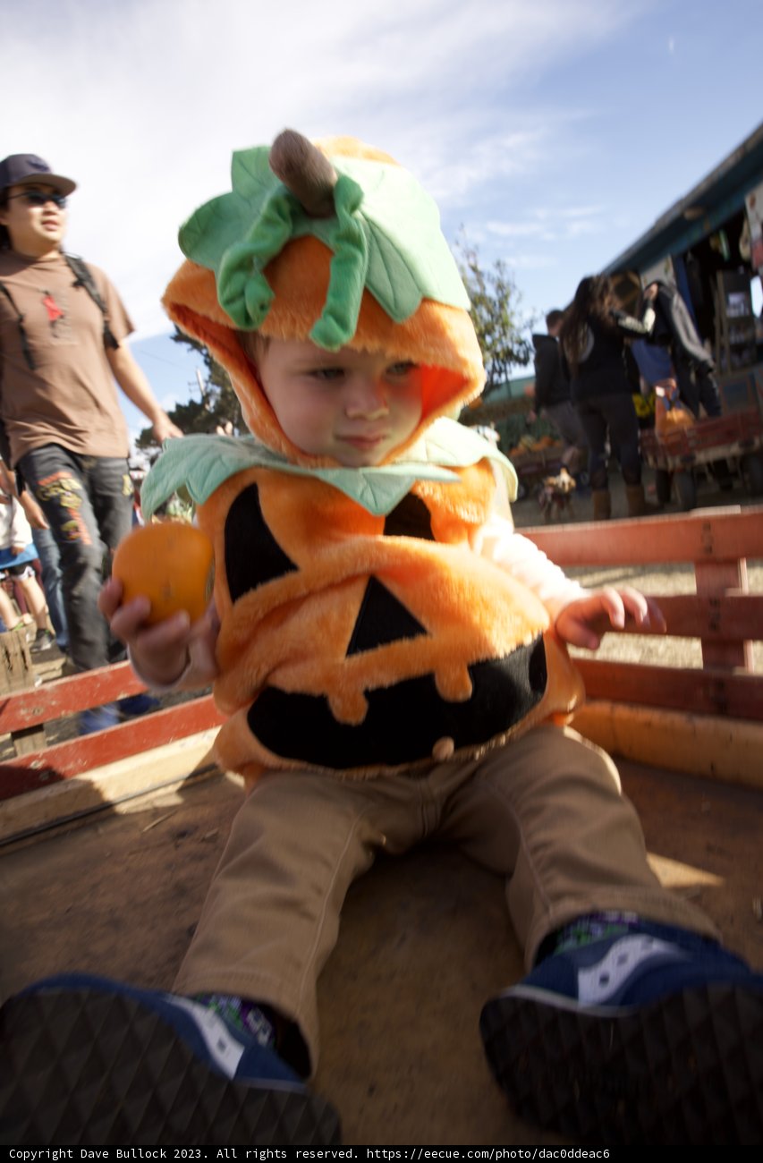 Wesley's First Halloween Adventure!
