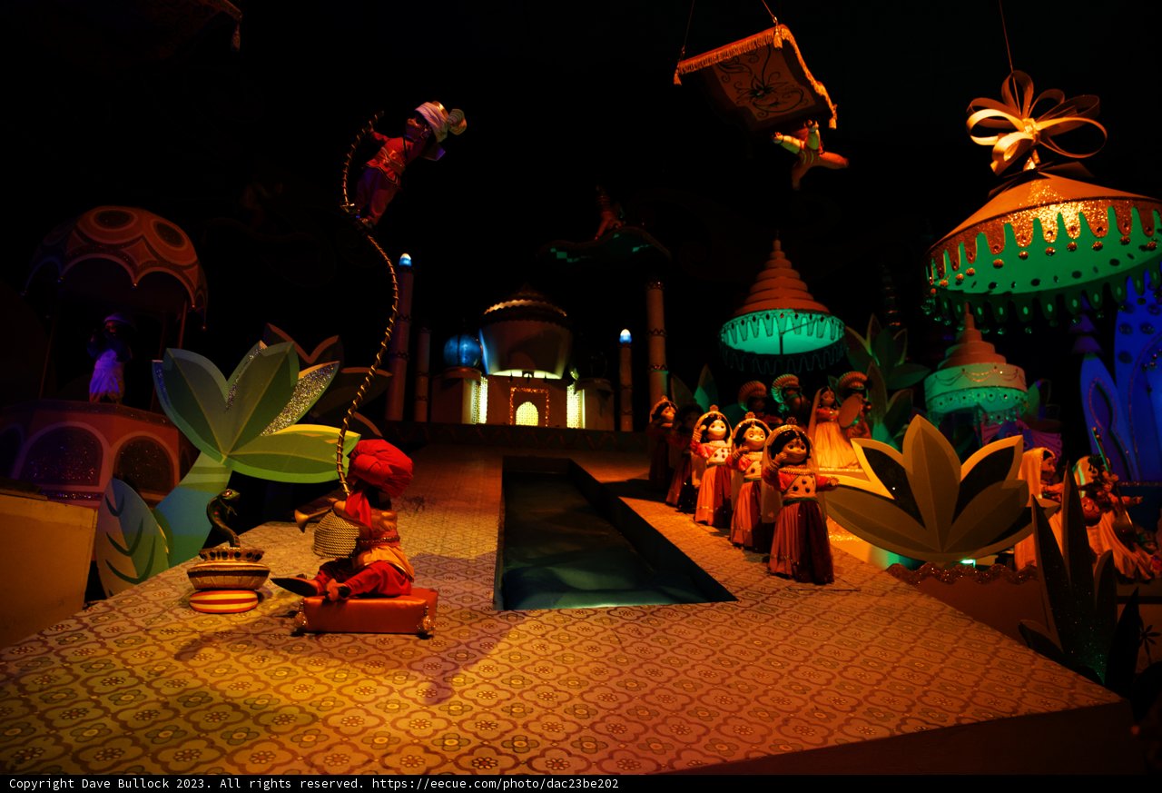 Magical Moments at Disneyland 2023