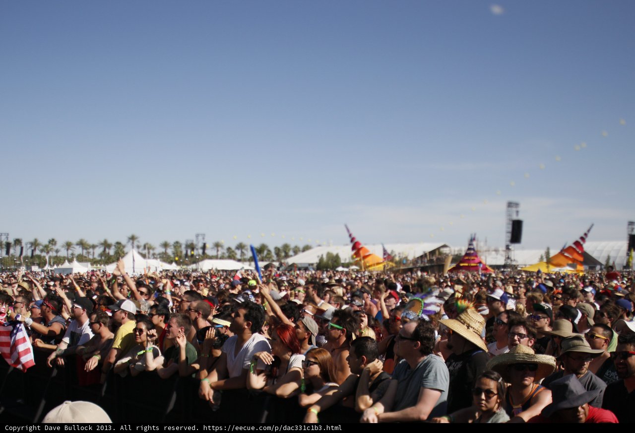 Euphoric Crowd at Music Festival